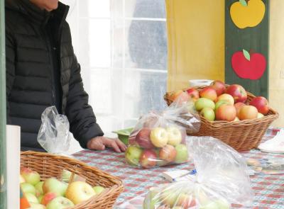 Mela Rosa protagonista a Monte San Martino: successo per la 19esima edizione di Saperi e Sapori (VIDEO e FOTO)