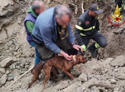 San Ginesio, cani da caccia restano intrappolati nella tana di un istrice: salvati dai vigili del fuoco (FOTO)