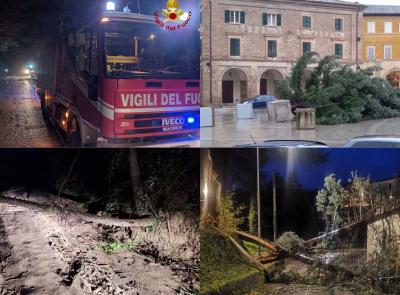 Il vento fa danni: cade l'Albero di Natale a San Severino, strade chiuse a Urbisaglia e Camporotondo