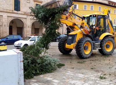 San Severino, non solo il grande abete in piazza: il vento abbatte alberi e pali telefonici, disagi sulle strade