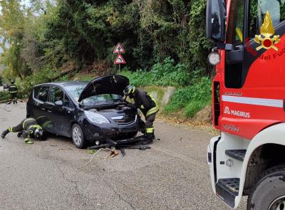 Il vento piega un albero, auto in corsa colpita da grosso ramo: choc per la giovane conducente