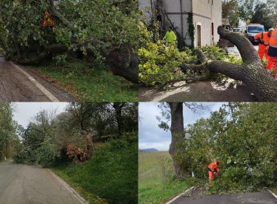 Caos vento, strade provinciali riaperte al traffico: "A Castelraimondo e Gualdo le situazioni più difficili"