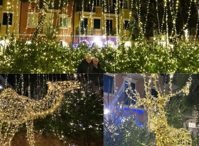 Porto Recanati, l'attrazione del Natale 2024 è il "Bosco Luminoso": un'oasi verde con 'cammelli' e 'cervi'