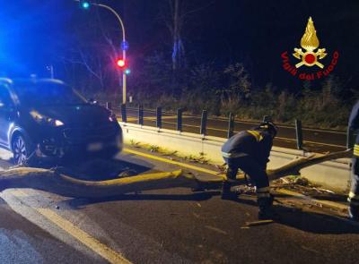 Forte vento, albero si abbatte sulla carreggiata e colpisce un'auto in transito