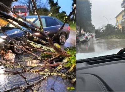 Il maltempo flagella la costa maceratese, rami e alberi caduti: vigili del fuoco in azione