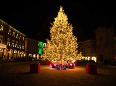 L'Albero di Natale di San Severino è ancora il più bello delle Marche