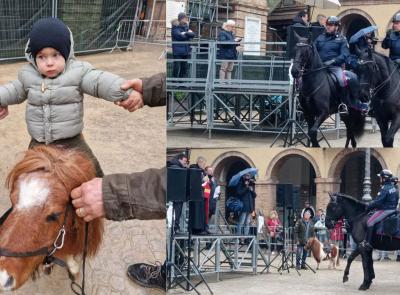 Tolentino, la pioggia non ferma la sfilata dei cavalli per Sant'Antonio: il pony "Jack Sparrow" montato dal piccolo Elia