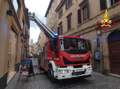 Marche sferzate dal vento: oltre 90 interventi dei vigili del fuoco per rami e alberi caduti