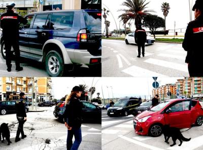 Civitanova, traffico ai raggi x sul lungomare: intensificati i controlli per contrastare la 'mala movida'