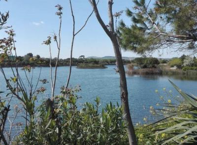 Potenza Picena, parco dei laghetti: il Comune apre al possibile acquisto. Arriva l'ok del Consiglio Potenza Picena, parco dei laghetti: il Comune apre al possibile acquisto. Arriva l'ok del Consiglio