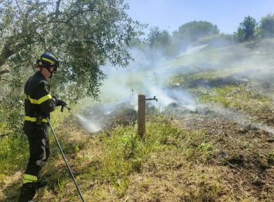 Corridonia: sterpaglie a fuoco, intervengono i vigili Corridonia: sterpaglie a fuoco, intervengono i vigili