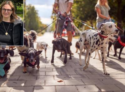 Macerata in fiore accoglie la Passeggiata a 6 zampe: evento dedicato al benessere animale