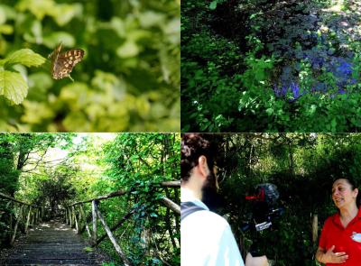 Il Giardino delle Farfalle di Cessapalombo: un angolo di natura da vivere e scoprire (VIDEO)