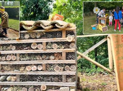 A Mogliano torna "Il Sentiero delle Api": una giornata per celebrare la natura e sensibilizzare i più piccoli A Mogliano torna "Il Sentiero delle Api": una giornata per celebrare la natura e sensibilizzare i più piccoli