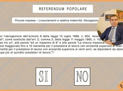 EPISODIO 2 - Referendum Lavoro e Cittadinanza, guida ai 5 quesiti con Riccardo Russo: licenziamenti nelle piccole imprese e indennità