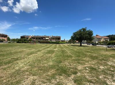 Riqualificazione giardini Palatucci a Villa Potenza: 37mila euro per la seconda tranche di lavori Riqualificazione giardini Palatucci a Villa Potenza: 37mila euro per la seconda tranche di lavori