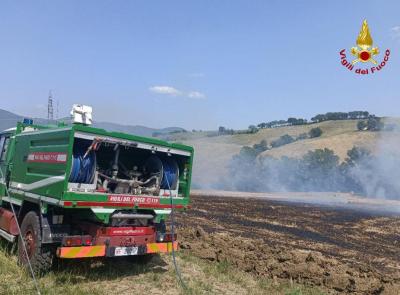 Sterpaglie a fuoco in un campo: bruciato un ettaro di terreno Sterpaglie a fuoco in un campo: bruciato un ettaro di terreno