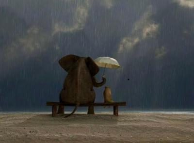 "Be Kind", il potere della gentilezza "Be Kind", il potere della gentilezza