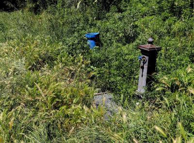 "Pulizia delle aree verdi? Ci pensano i giovani": a Macerata torna 'Ci sto? Affare Fatica'