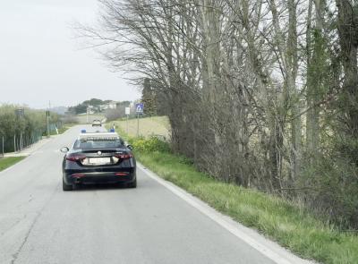 Morrovalle, viola per la seconda volta il divieto di avvicinamento alla madre: denunciato