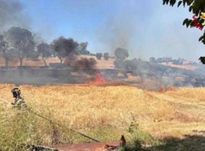 Recanati, vasto incendio in un campo di grano: messa in sicurezza un'abitazione vicina Recanati, vasto incendio in un campo di grano: messa in sicurezza un'abitazione vicina