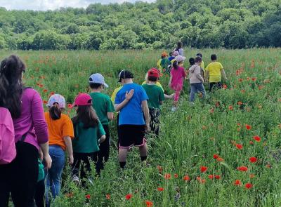 Turismo scolastico in crescita all’Abbadia di Fiastra: +80% nel 2025 Turismo scolastico in crescita all’Abbadia di Fiastra: +80% nel 2025