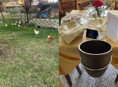 Agriturismo La Finestrella, una storia lunga 27 anni: la famiglia Pelati e il cuore della cucina marchigiana Agriturismo La Finestrella, una storia lunga 27 anni: la famiglia Pelati e il cuore della cucina marchigiana
