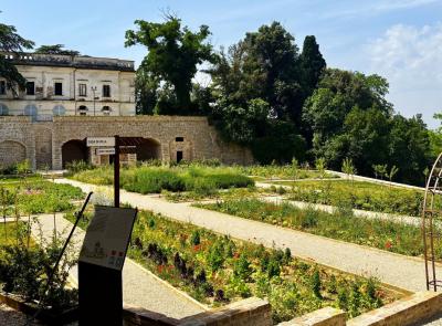 Treia riscopre il suo orto pomario: un omaggio ai frutti antichi a villa spada Treia riscopre il suo orto pomario: un omaggio ai frutti antichi a villa spada
