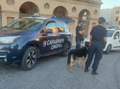 Cani antidroga e posti di blocco: controlli a tappeto dei Carabinieri a Macerata Cani antidroga e posti di blocco: controlli a tappeto dei Carabinieri a Macerata