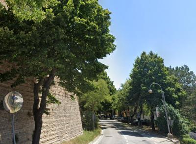 Tolentino, via Filzi chiusa al traffico dal 14 al 16 luglio: come cambia la viabilità Tolentino, via Filzi chiusa al traffico dal 14 al 16 luglio: come cambia la viabilità