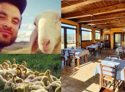 Dagli agnelli in regalo per il diploma all’agri-nido dei sogni: la storia di Giovanni Togni e della sua fattoria