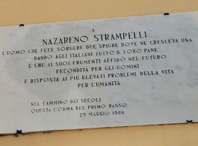 Castelraimondo, Crispiero protagonista del docufilm Rai dedicato a Nazareno Strampelli Castelraimondo, Crispiero protagonista del docufilm Rai dedicato a Nazareno Strampelli