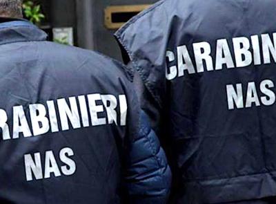 Controlli dei Nas a Porto Potenza: blatte morte e cucina sporca, chiuso ristorante di uno chalet