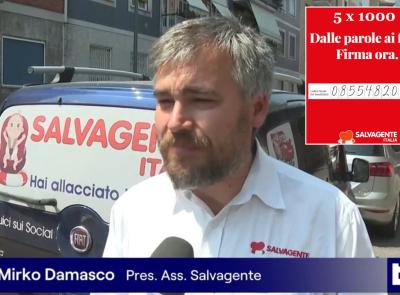 Salvagente Italia fa tappa in Abruzzo, Marche e Umbria con il "Camper Tour 2025": formazione in viaggio
