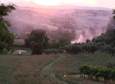 Mogliano, uliveto in fiamme: un uomo soccorso in eliambulanza (FOTO)