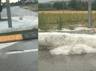 Maltempo nelle Marche: la provincia di Macerata fa i conti con vento, alberi caduti e grandine