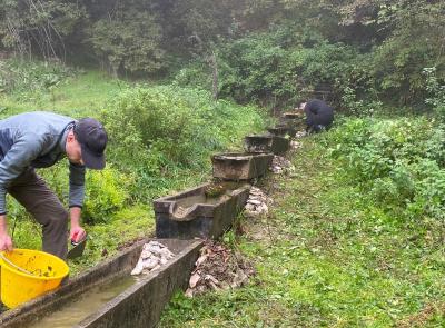Parco dei Monti Sibillini, cercasi volontari per la salvaguardia degli anfibi