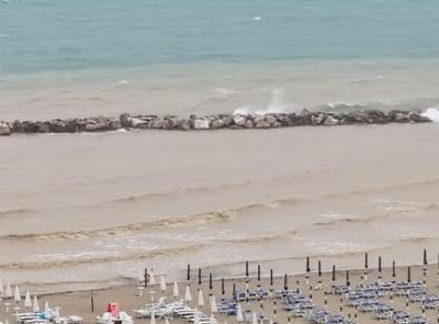 Alga tossica ed Escherichia Coli: doppio divieto temporaneo di balneazione nelle Marche