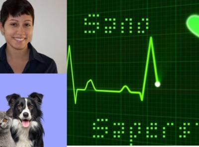 Pet-Therapy: il potere degli animali nel migliorare salute e benessere