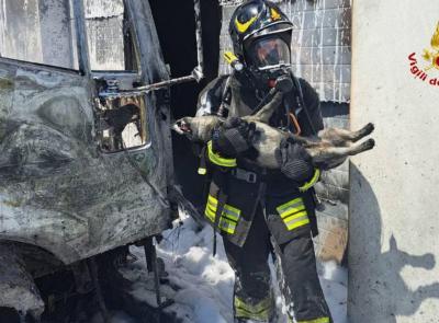 Ascoli, camion avvolto dalle fiamme nella zona industriale: trovato cane agonizzante in un capannone