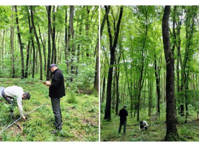 Boschi e biodiversità, l’Italia avrà la prima mappa completa: l’Università di Camerino in prima linea