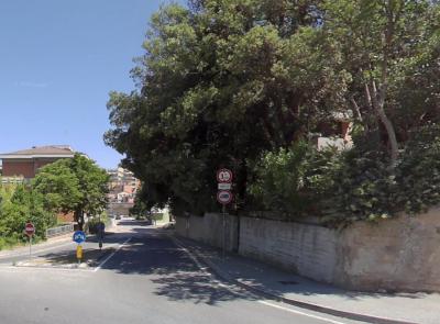 Macerata, Via Cincinelli chiusa per lavori di demolizione: divieti e modifiche al traffico, ecco quando