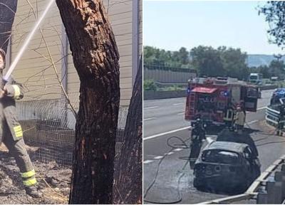 Civitanova, auto prende fuoco sull’A14: le fiamme coinvolgono la vegetazione