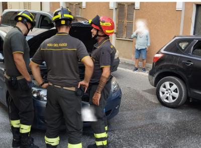 Macerata, auto in coda per l'incidente prende fuoco: intervengono i vigili del fuoco (FOTO) Macerata, auto in coda per l'incidente prende fuoco: intervengono i vigili del fuoco (FOTO)