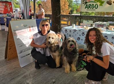 Alla fiera di San Giuliano la speranza di Artù e Aaron: due cuccioli in cerca di casa