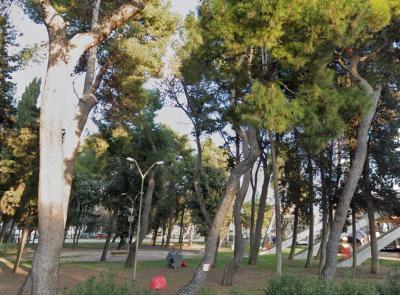 Civitanova, Dipende da Noi contro il progetto al Varco sul Mare: "Una mattanze di alberi, ma solo 20 sono malati"