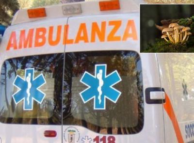Tragedia a Ussita: 71enne stroncato da un malore mentre cercava funghi