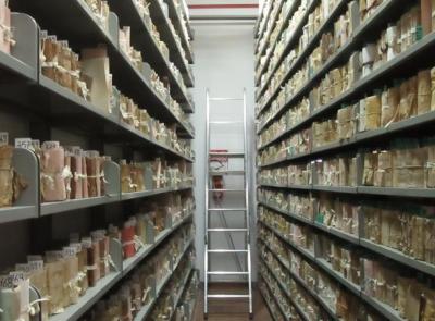 Memoria e Architettura: la storia del cimitero di Coldibove in mostra all’Archivio di Stato di Camerino
