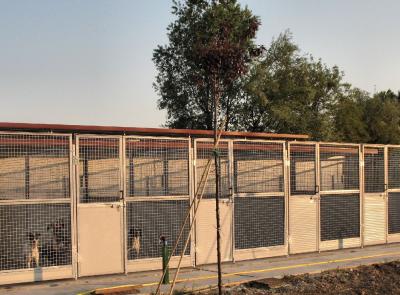 Civitanova, nuovi box al canile comunale: interventi per 13mila euro