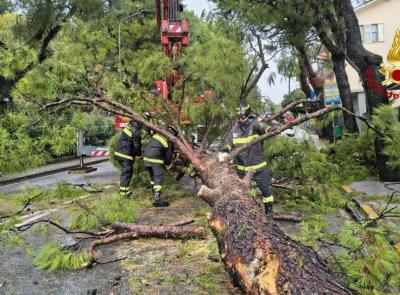 Marche - Piogge intense, allagamenti e alberi caduti: numerosi interventi dei vigili del fuoco